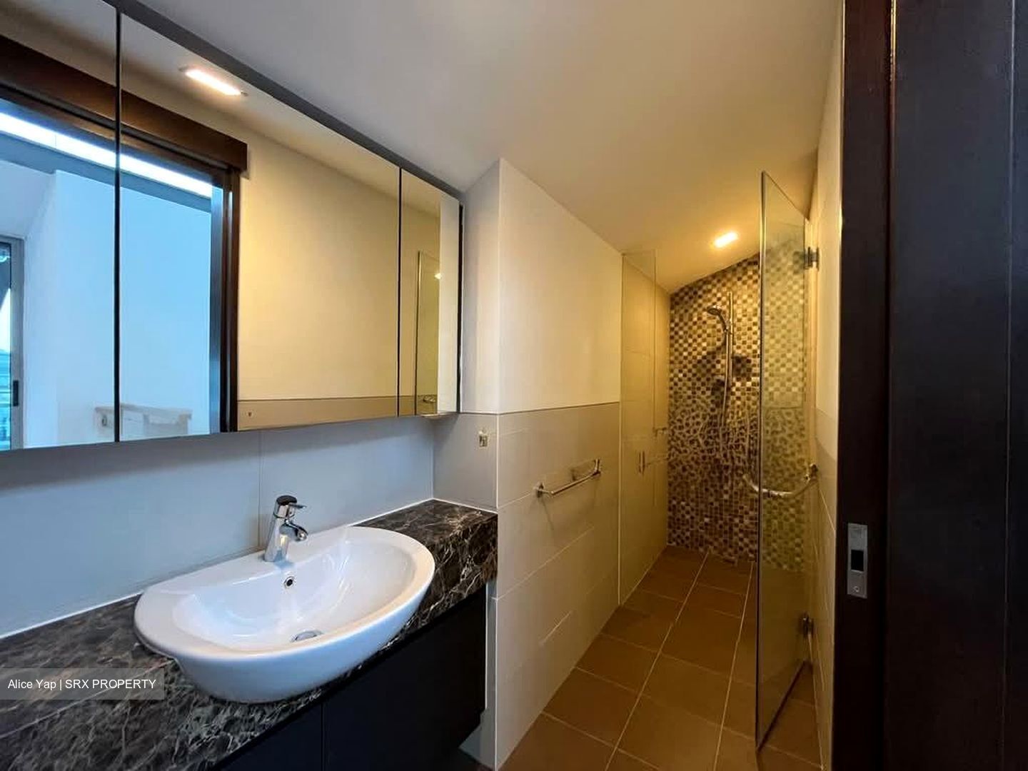 Radiance @ Bukit Timah (D21), Terrace #551954401